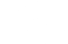 Allegiant Calls